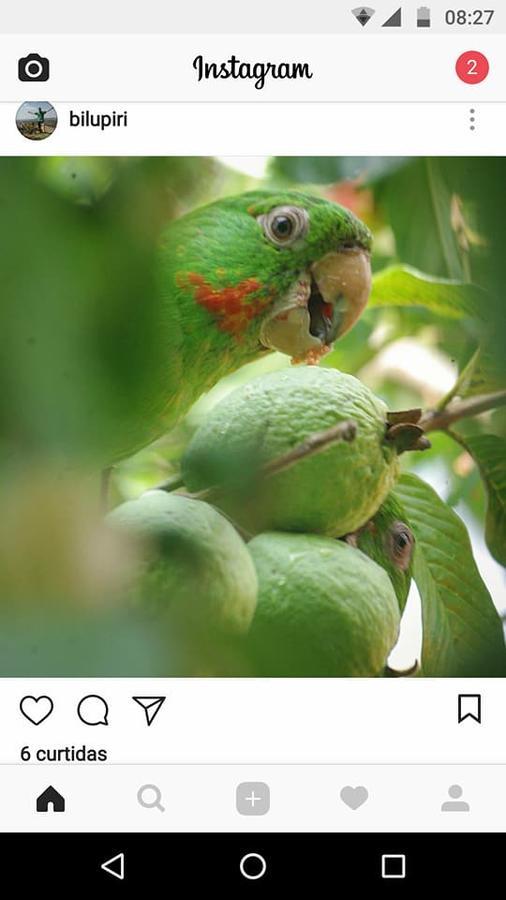 Casa Esmeralda Para Descanso Pirenópolis Dış mekan fotoğraf